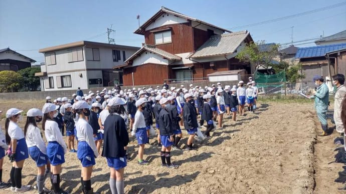 小学校で枝豆の種を植える