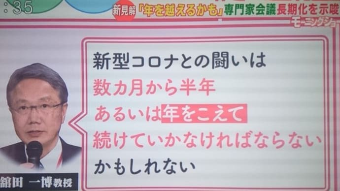 #新型肺炎コロナウイルス 日本感染分布