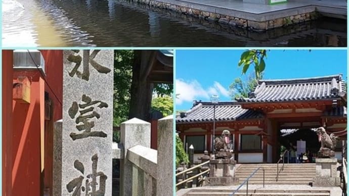 『空海 KUKAI』ー密教のルーツとマンダラ世界ー