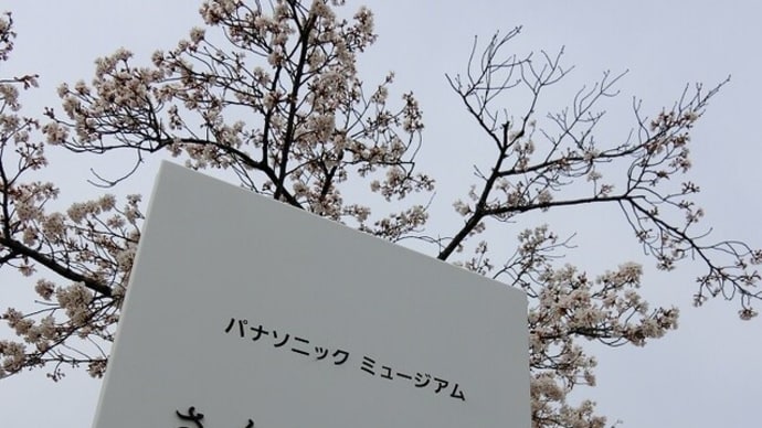 パナソニックさくら広場でお花見~♪