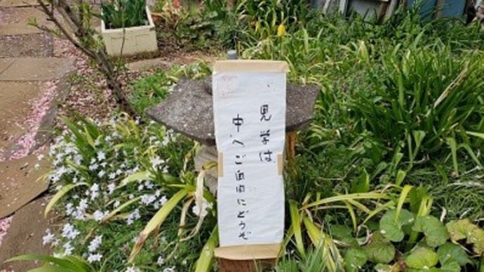 令和4年の桃源郷