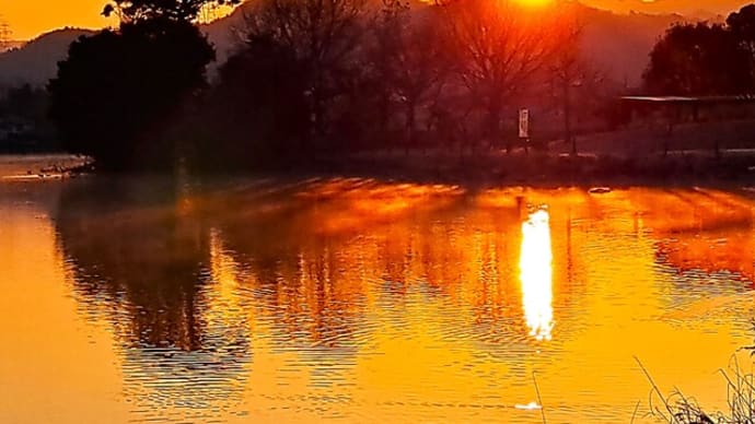 朝の散歩 平池公園 37 3.1~10