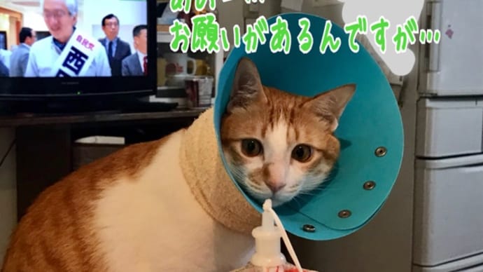あともう少しだからね