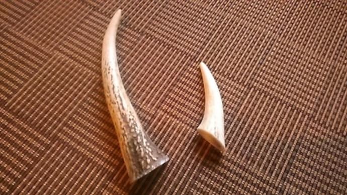 歯磨きおやつ