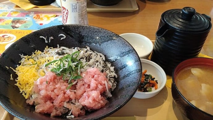 昨日は『ココス』でランチ~~♬ 今日は明日の分までウォーキング~~♬