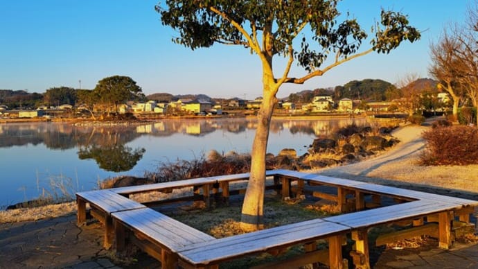 朝の散歩 平池公園 38 3.11~20