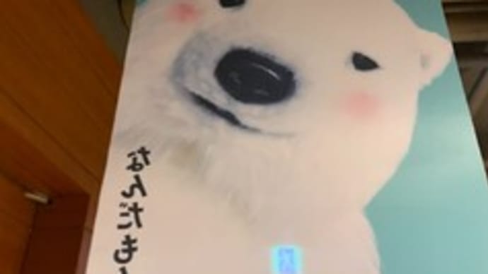 札幌駅 クマだらけ