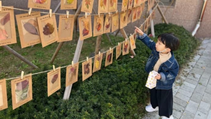 11/6 ロイロイのインスタ写真は~