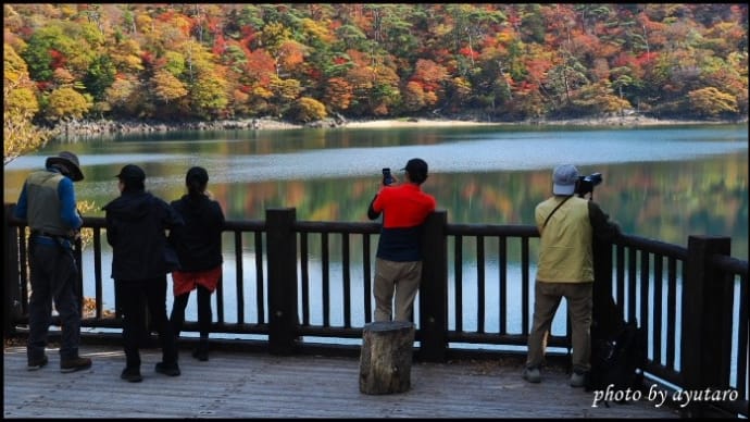 六観音御池の紅葉