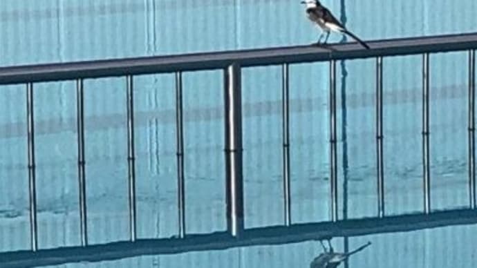 じっくり深堀り!