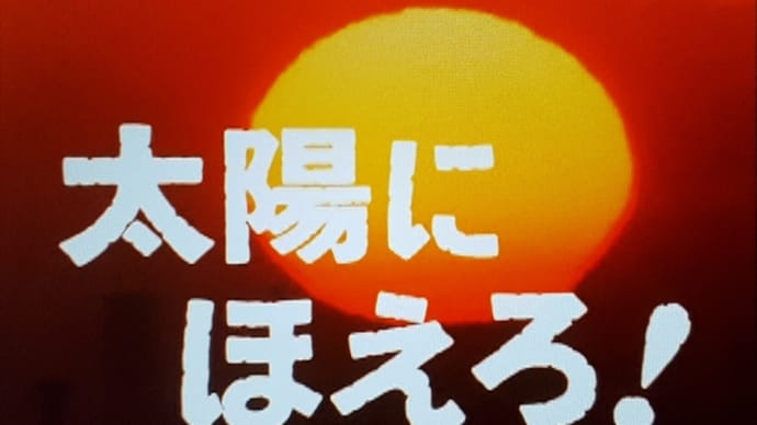 『太陽にほえろ！』1984～1985