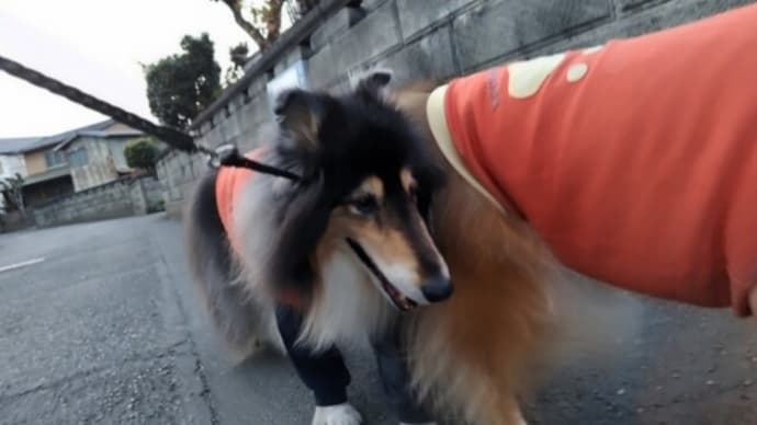 暗いおふたり😰