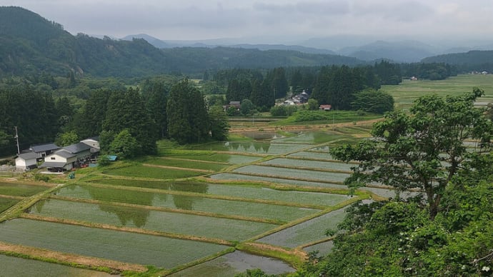 今日は2回目の接種でした。<< コロナワクチン。