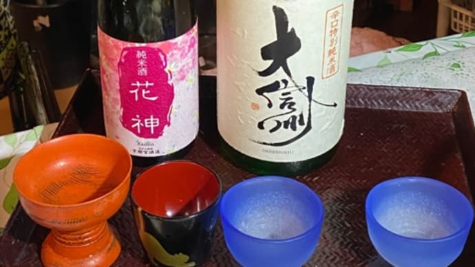 女二人の家飲みご飯🎵三匹のニャンコその後
