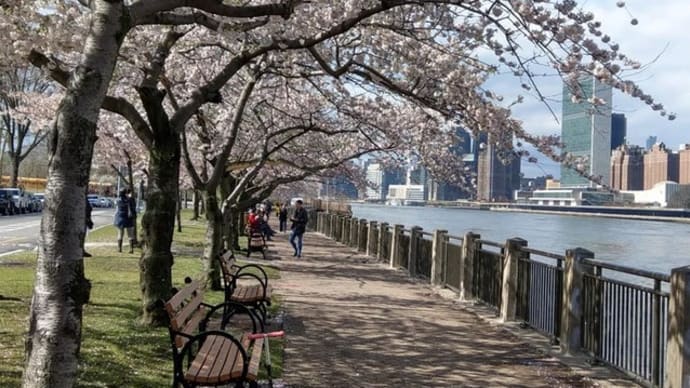 戻ってきました、NY(’19年4月)