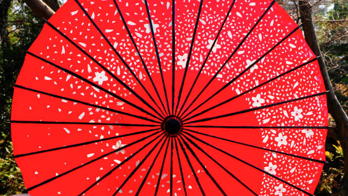 ❽葵桜 2025 ゴール