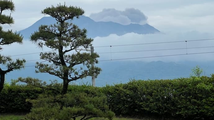 雨と桜島の噴火と島津雨・・・・淡交会研究会終わる