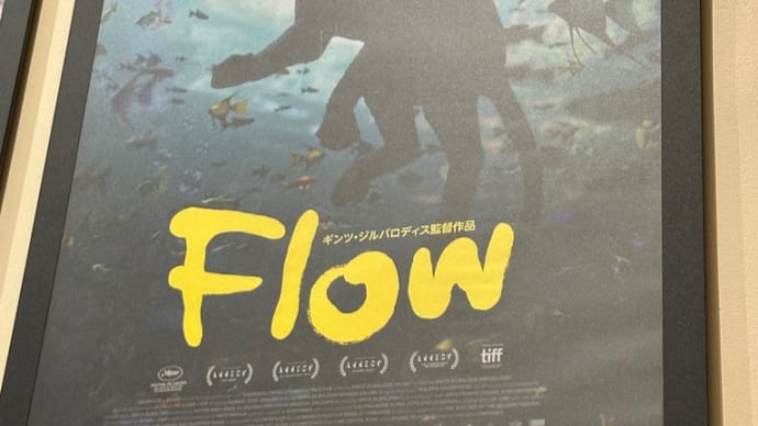 いま映画『Flow』を観るべき6つの理由