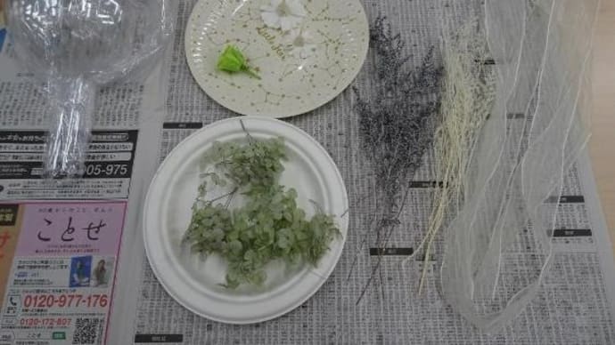 オレンジの紫陽花ってあるの?