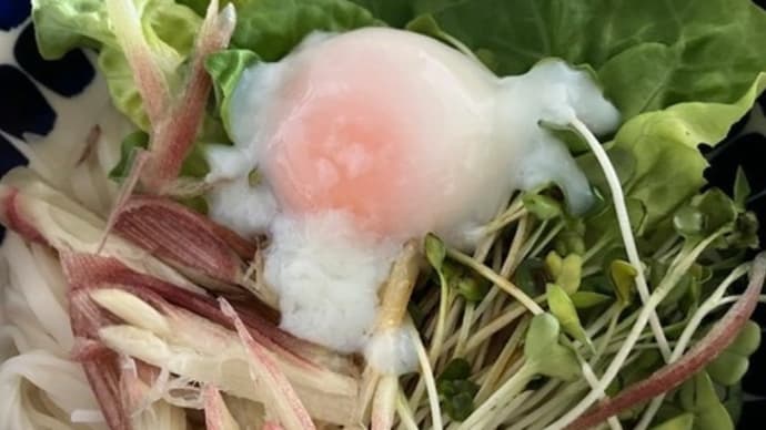 みょうがが好き~と胡蝶蘭さん