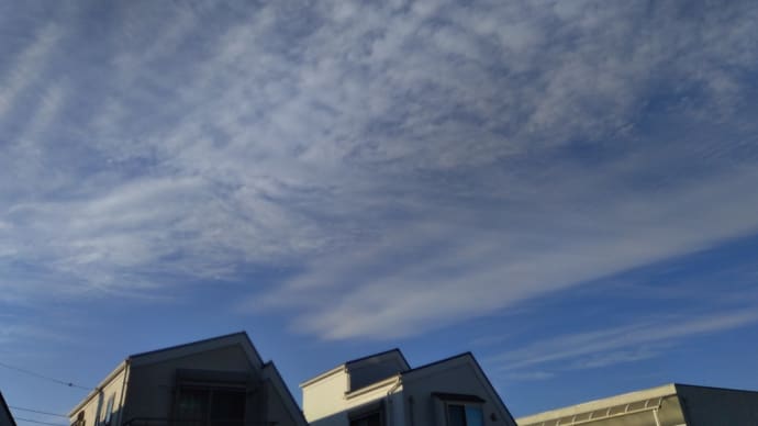 節分が来れば、花粉症対策