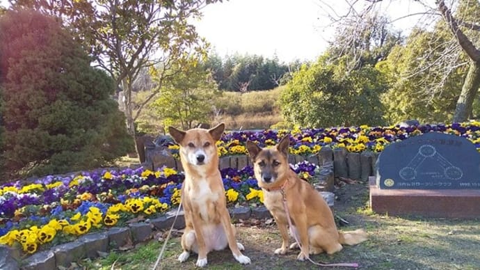 公園を新規開拓してみたよ!