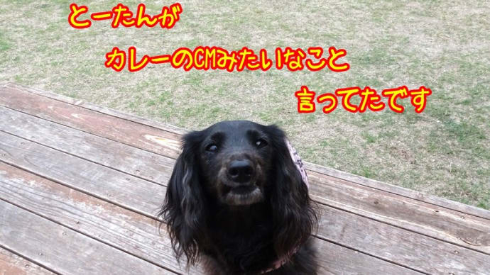 なつかCM ?