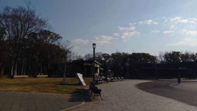 大阪城公園　梅林⑤