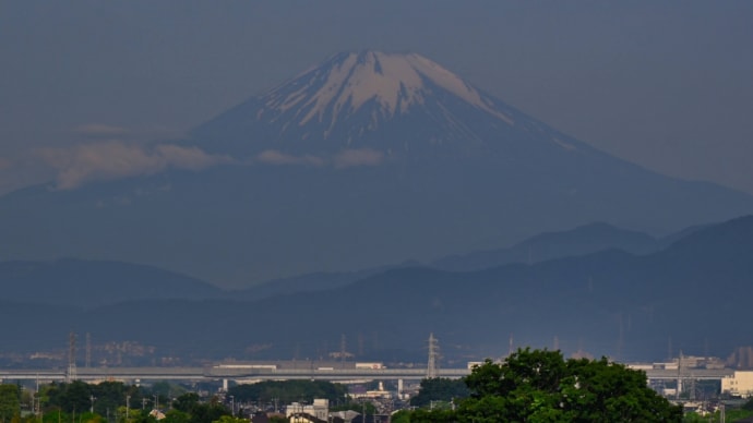 21/May 朝の富士山と森のカラスアゲハとサンコウチョウ♀️とカワセミ幼鳥