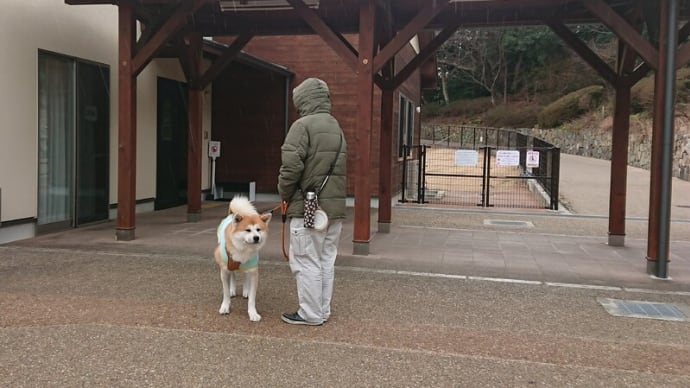 甲山森林公園~と、TSUMAGARIのケーキ🍰