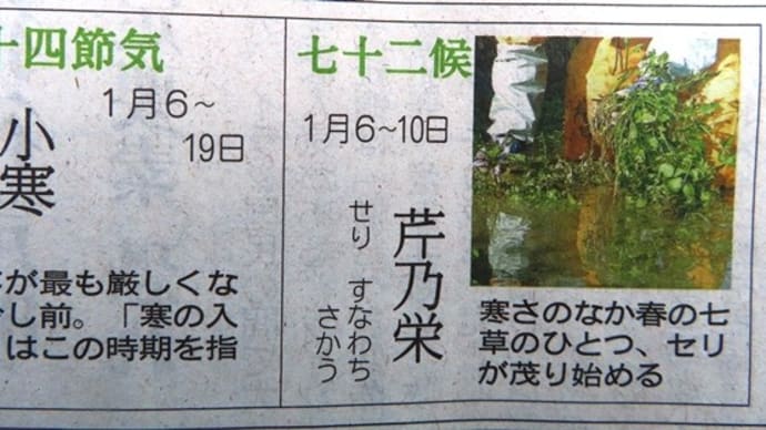 今日から寒に入る