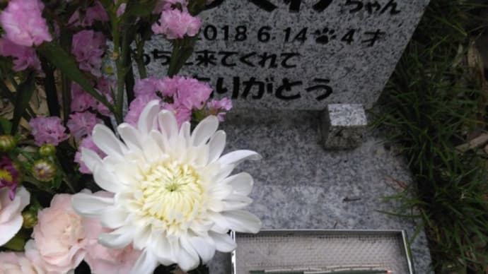 あっと言う間の…。