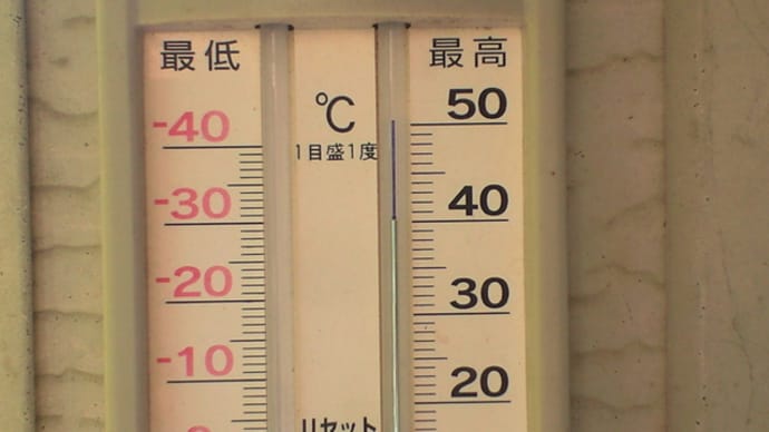 酷暑日?です 追記です さらに追記です