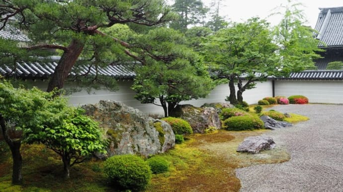 京都青もみじの頃 南禅寺 2019/6/10