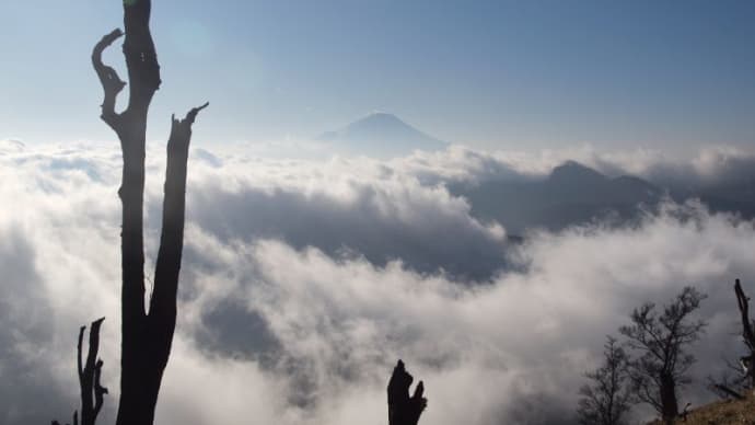 初冬の丹沢、忘年登山・・・烏尾山～塔の岳