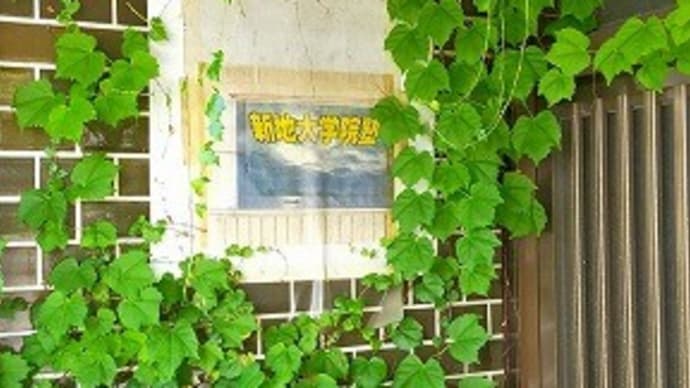 昭和余年は春も宵…