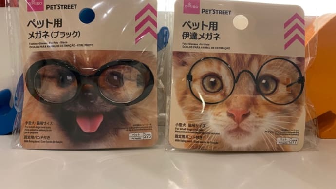 猫メガネ。