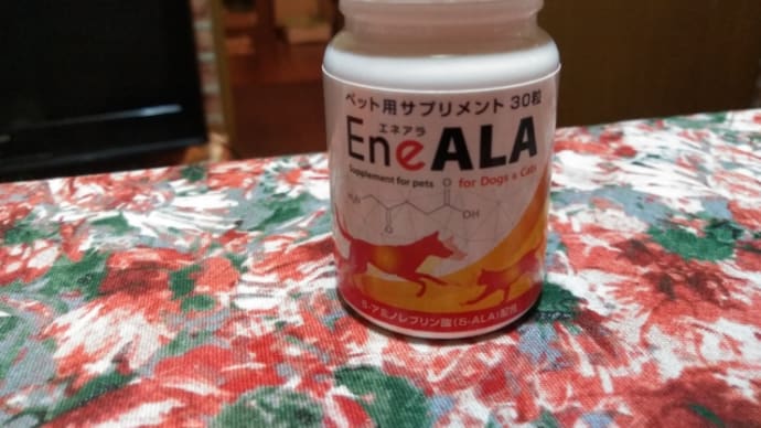 そんなとこ、似なくても、、