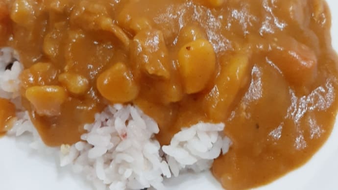 2日目のカレー。