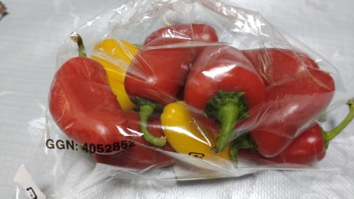 お買い物・・・