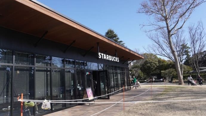 冬の千葉公園芝庭