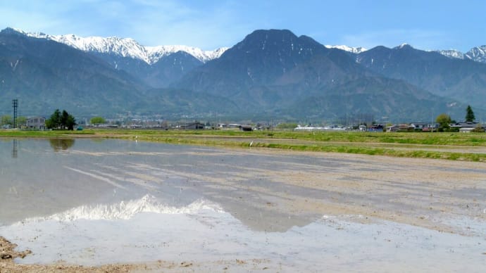 春の北安曇・・・大町市社・・・代掻きのはじまった田んぼと・・・アルプスの風景