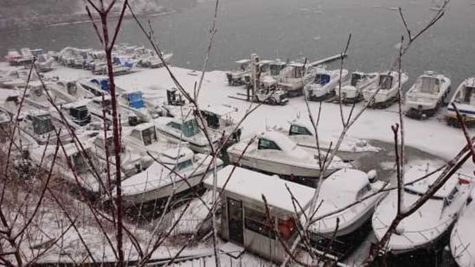 暴風雪の中の船舶検査・・・・・・。(;'∀')