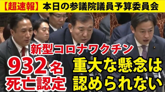 2024/12/16【本日の予算委員会】国会にあの表や浜松市のデータが登場【川田龍平議員】