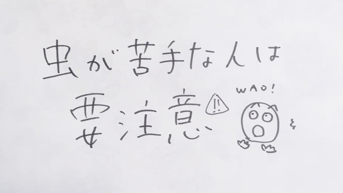 自分への誕生日プレゼント