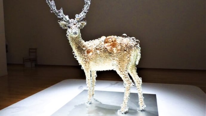 2023・7・16 東京都現代美術館MOTコレクション「被膜虚実」「特集展示 横尾忠則-水のように」「生誕100年 サム・フランシス」