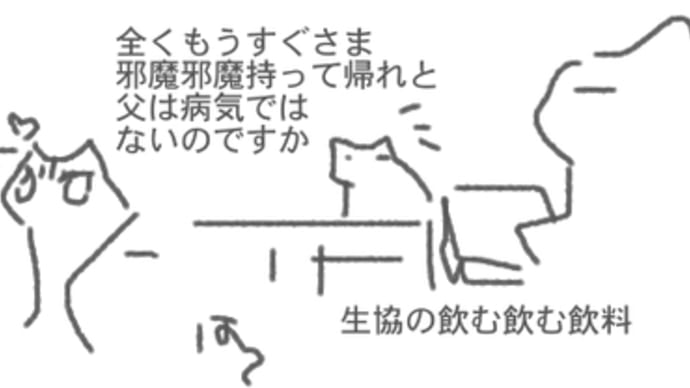 もう、もうわけわからんー!!(涙)