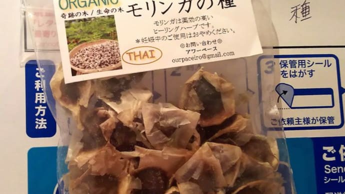 モリンガ