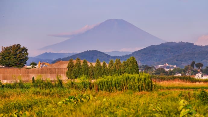 02/Oct 朝の富士山とカワセミとチョウゲンボウとヒバリ