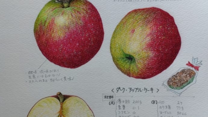 我が家のリンゴ ダークアップルケーキ